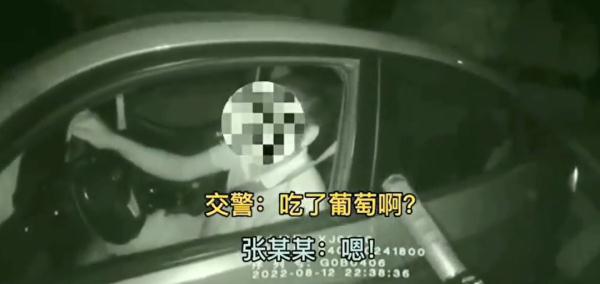 酒駕司機(jī)遇查，反復(fù)“甩鍋”葡萄稱自己沒喝酒……